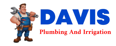 Trusted plumber in BIDWELL